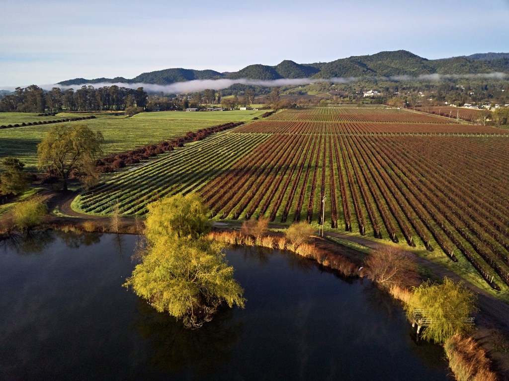Silverado Vineyards Miller Ranch Vineyard Yountville Key Photo