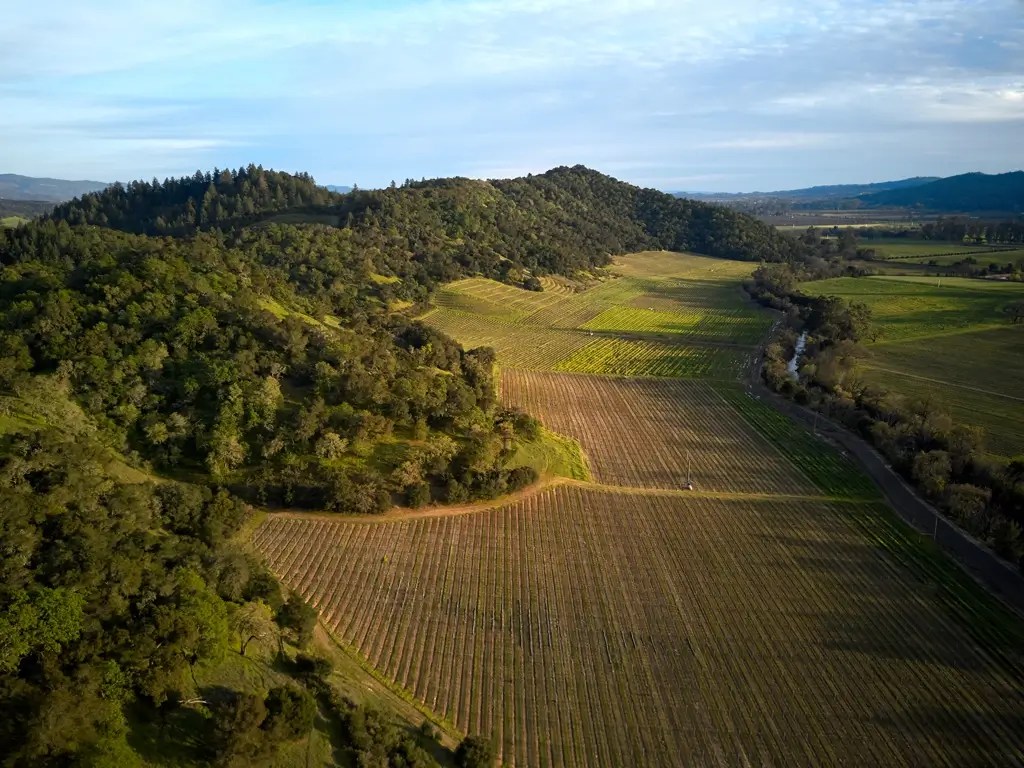 silverado estates silverado vineyard