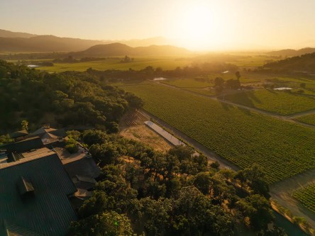 silverado hero estate vineyards