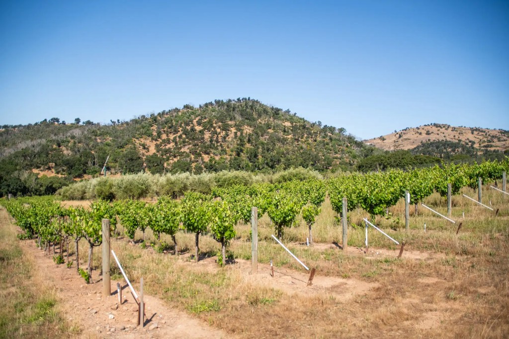 silverado borreo ranch